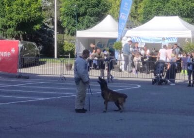 Rencontre avec la gendarmerie 2024 CMJ Saint Félix