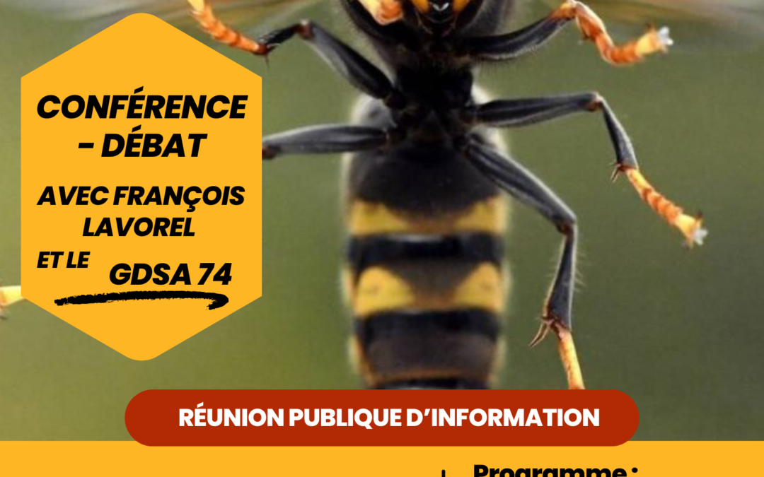 Conférence sur la lutte contre les frelons asiatiques