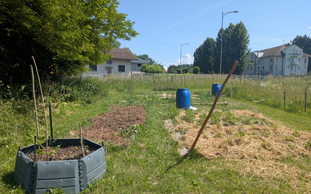 Atelier permaculture
